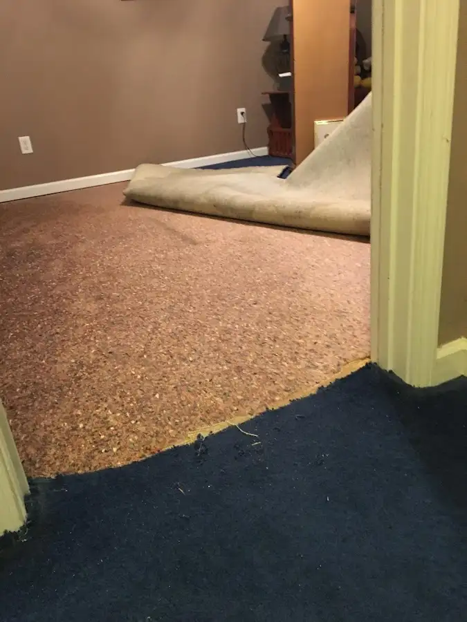 Carpet pad removal revealing water damage during Drying & Dehumidification in Fallon
