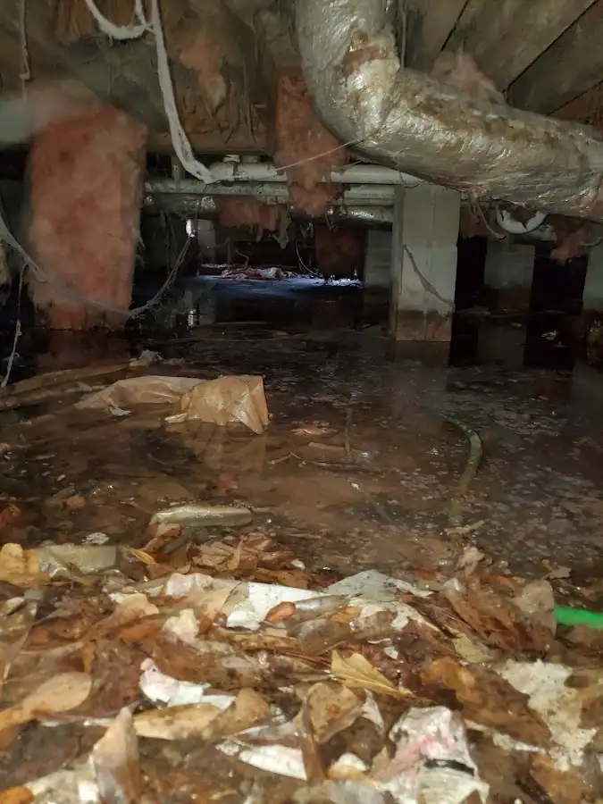 Crawl space flood assessment for Commercial Water Damage Restoration in Fallon