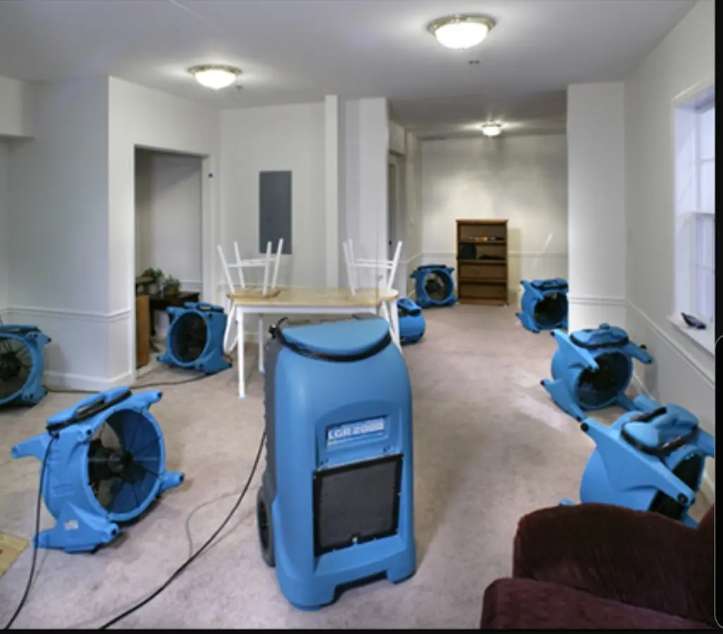 Air movers and dehumidifier setup for Water Extraction & Removal in Fallon